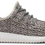 Yeezy Boost 350 'Turtle Dove' AQ4832