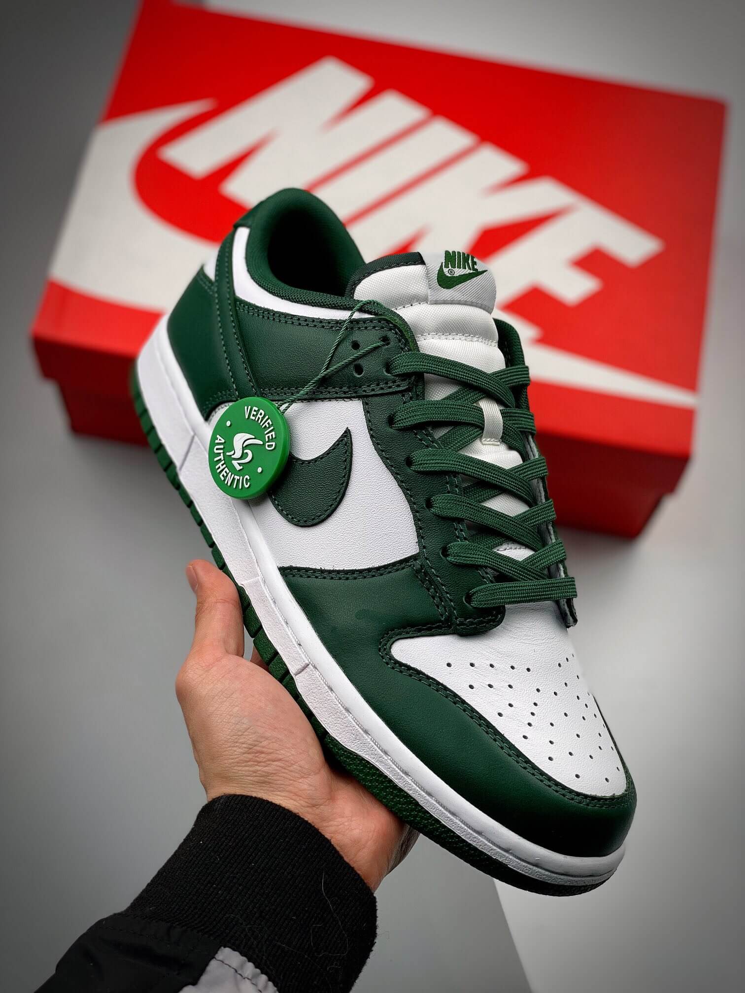 Dunk Low 'Michigan State' DD1391-101